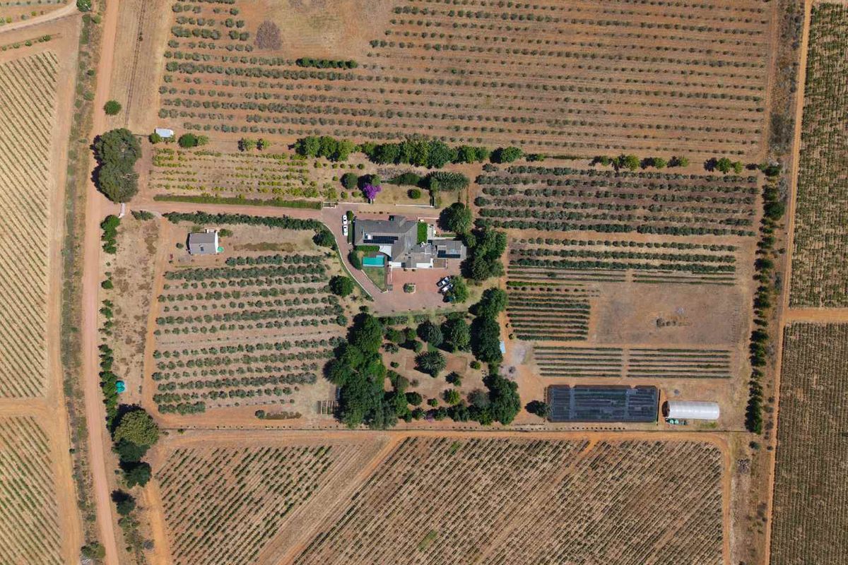 Life-style Olive Farm With Established Operations and Quality Infrastructure - Photo 5