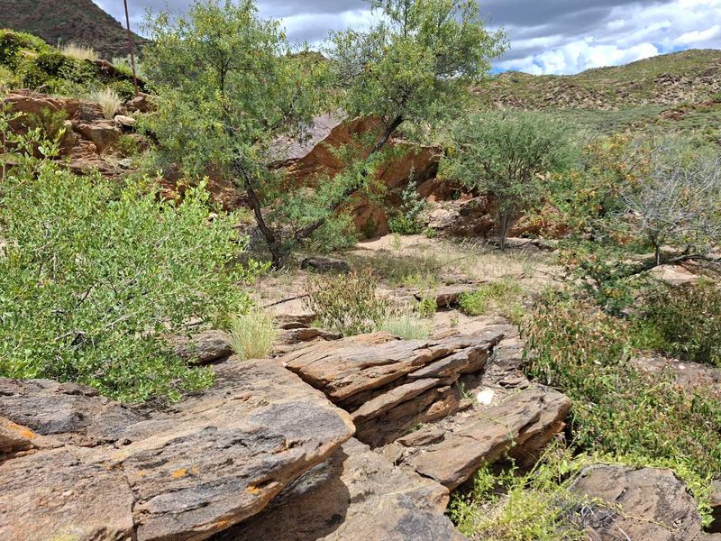 Escape the city hustle and embrace country living just 40 km from Windhoek! - Photo 5