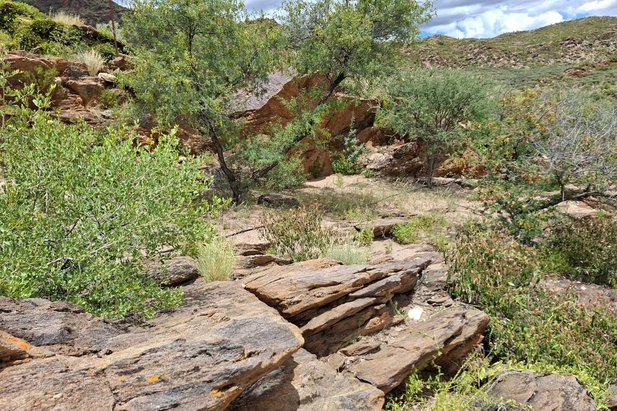 Escape the city hustle and embrace country living just 40 km from Windhoek! - Photo 5