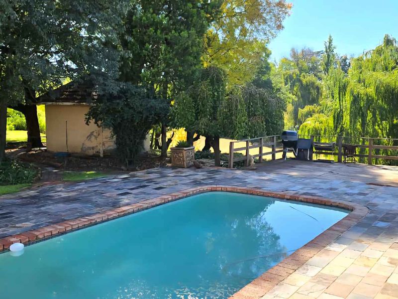 Outdoor pool area featuring a stone-paved patio, a raised wooden deck with balustrades, and a surrounding garden with mature trees.