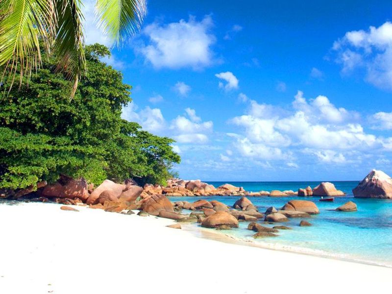 A Slice of Paradise - Grand Anse, Praslin - Photo 4