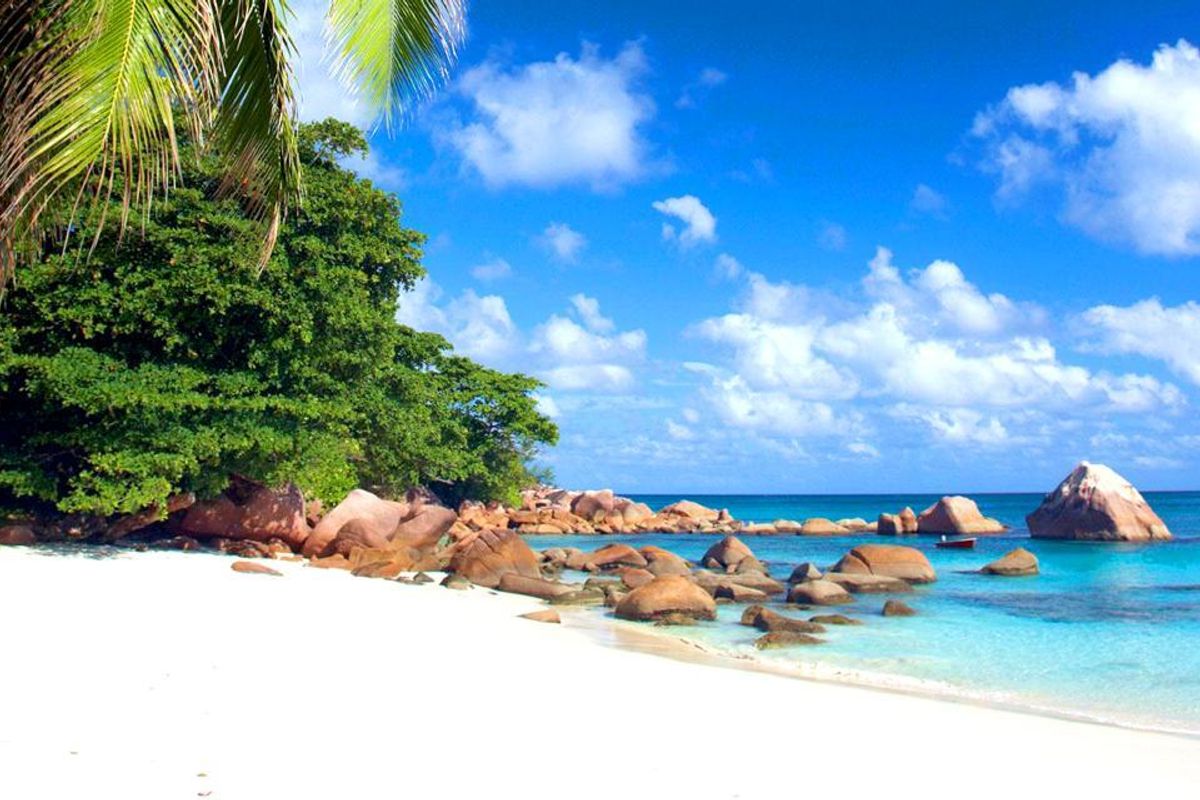 A Slice of Paradise - Grand Anse, Praslin - Photo 4
