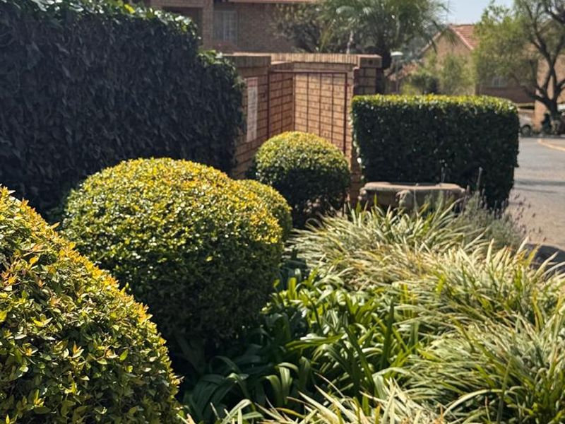 A well-maintained garden area featuring manicured shrubs, ornamental grasses, and a brick boundary wall within a residential complex setting.