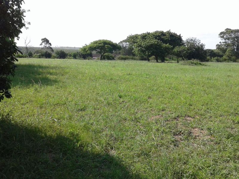 Vacant Land in MTUBATUBA - Photo 5
