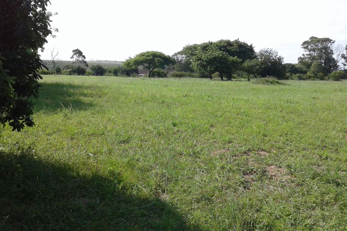 Vacant Land in MTUBATUBA - Photo 5