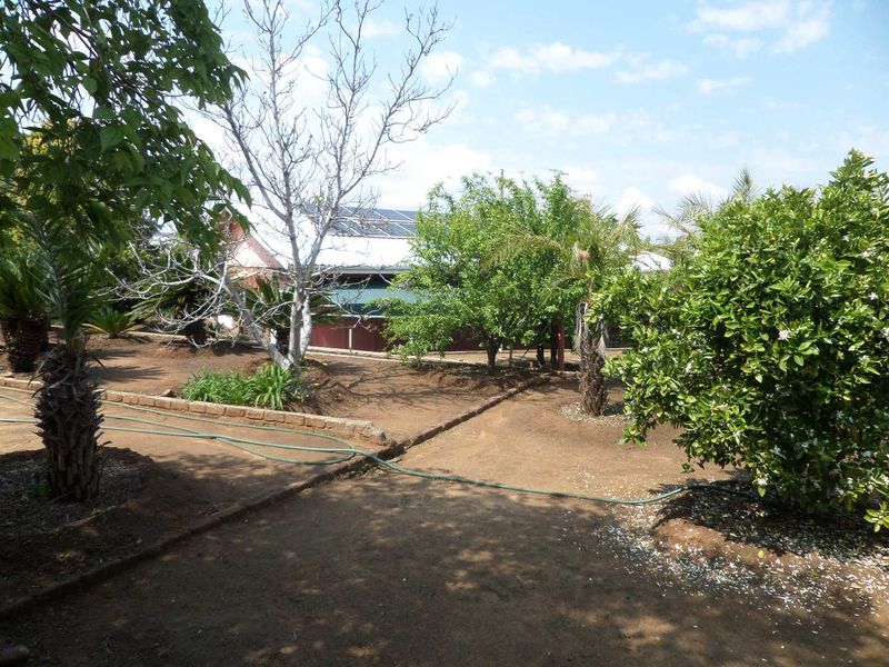 A spacious garden area featuring mature trees, established landscaping, brick edging, and a building roof equipped with solar panels.
