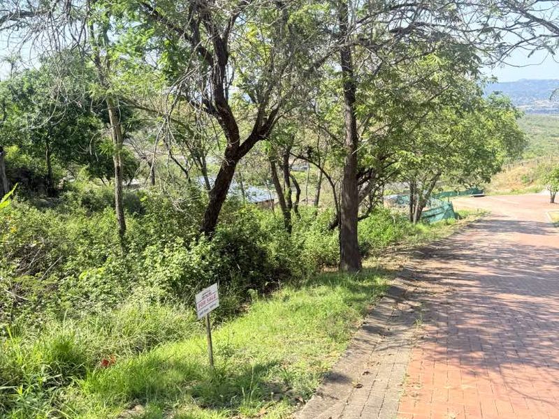 A view of a vacant residential plot featuring a paved driveway, mature trees, and natural vegetation.