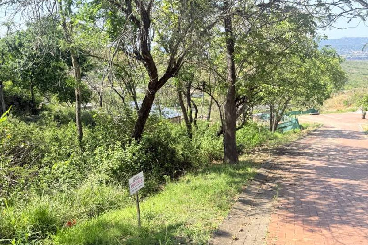 A view of a vacant residential plot featuring a paved driveway, mature trees, and natural vegetation.