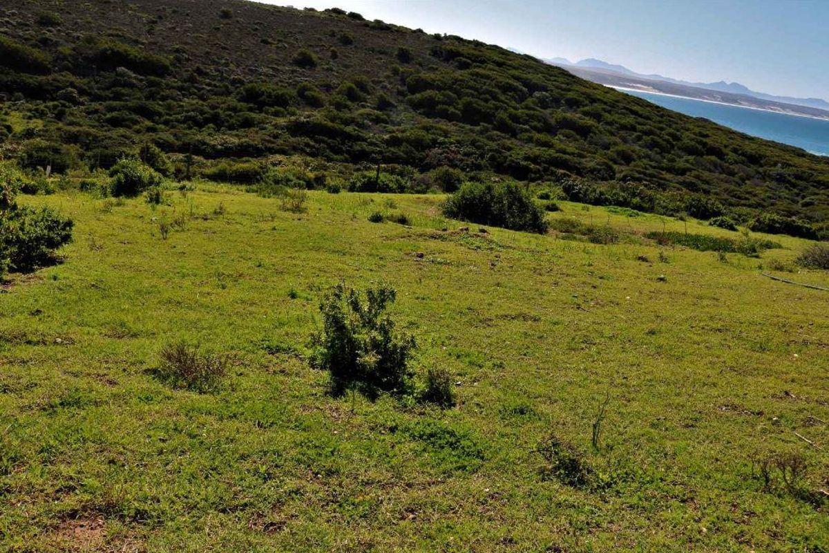 Family Fun Time - Vacant Stand With Sea View - Photo 5