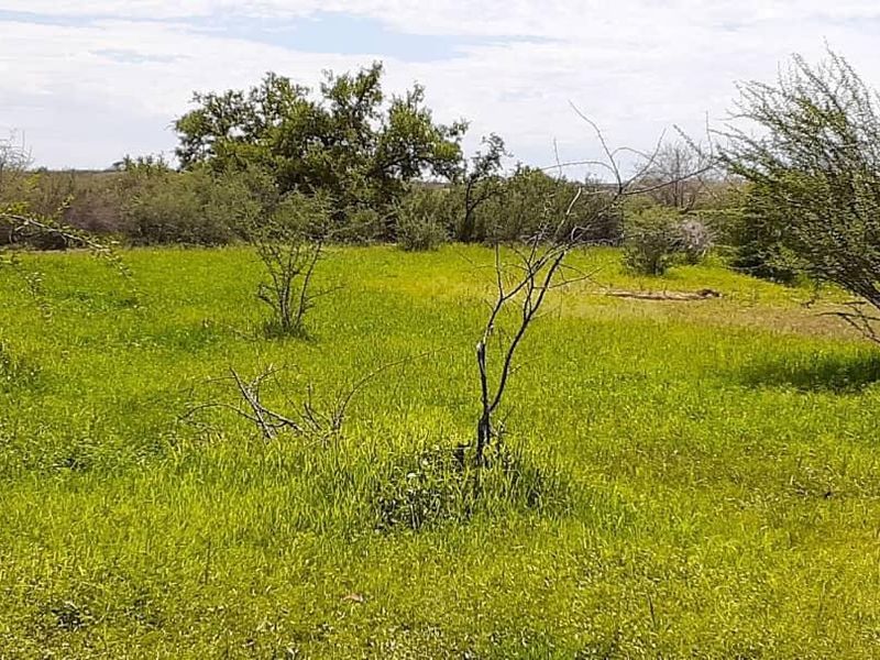 Live the Farm Life: 7625 Hectares of Farm Opportunity in Rehoboth - Photo 8