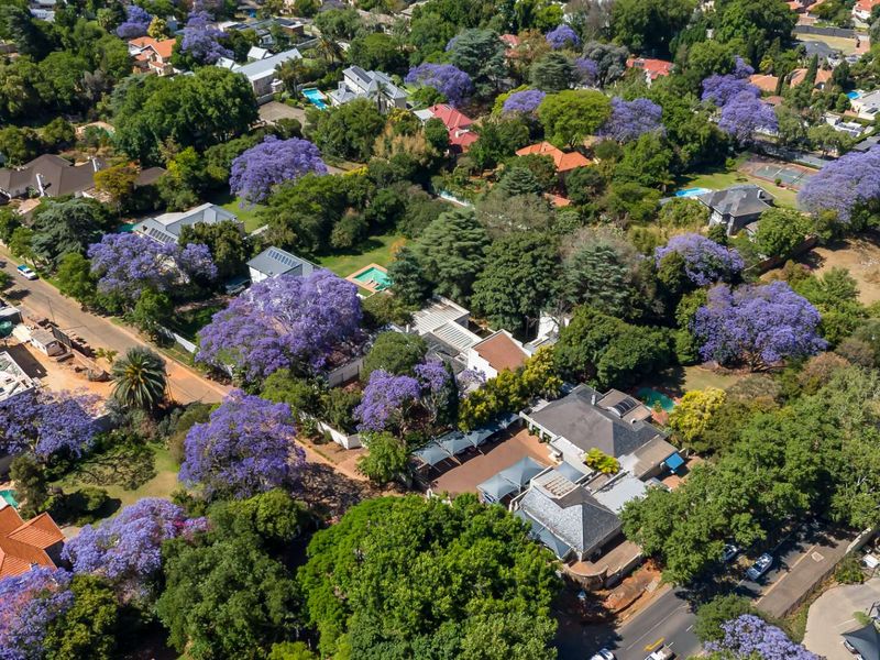 CALLING ALL DEVELOPERS - PRIME PIECE OF LAND IN THE HEART OF MELROSE - Photo 10