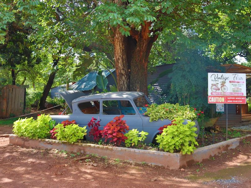 Established Plant Nursery Business For Sale. - Photo 2