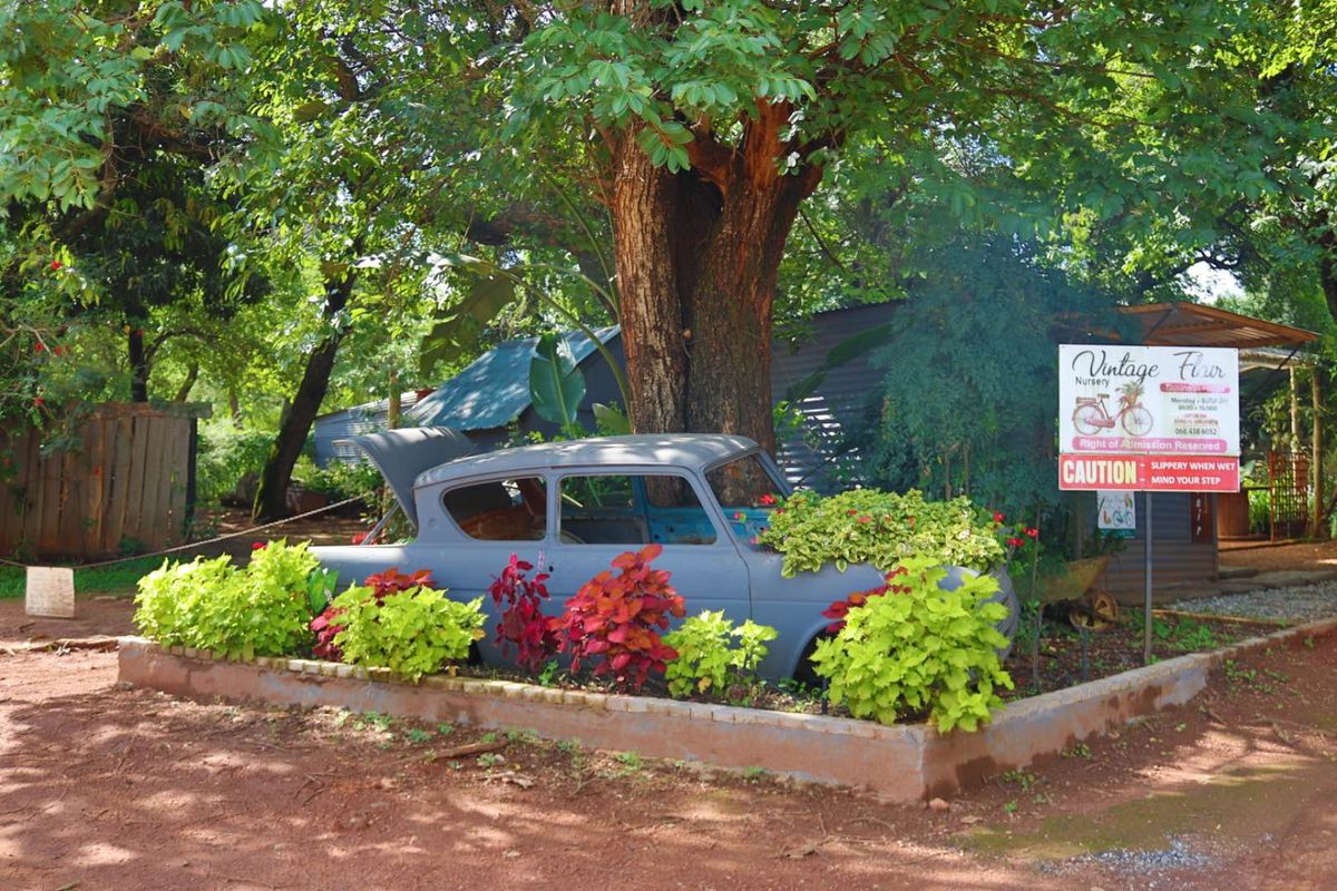 Established Plant Nursery Business For Sale. - Photo 2