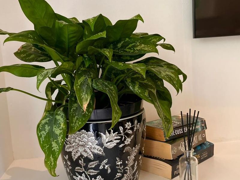 Modern Coastal Living in Historic Building in Simon's Town - Photo 10