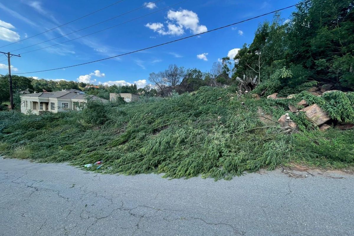 Street view of a vacant residential plot featuring rocky terrain and significant fallen vegetation obstructing the road frontage.