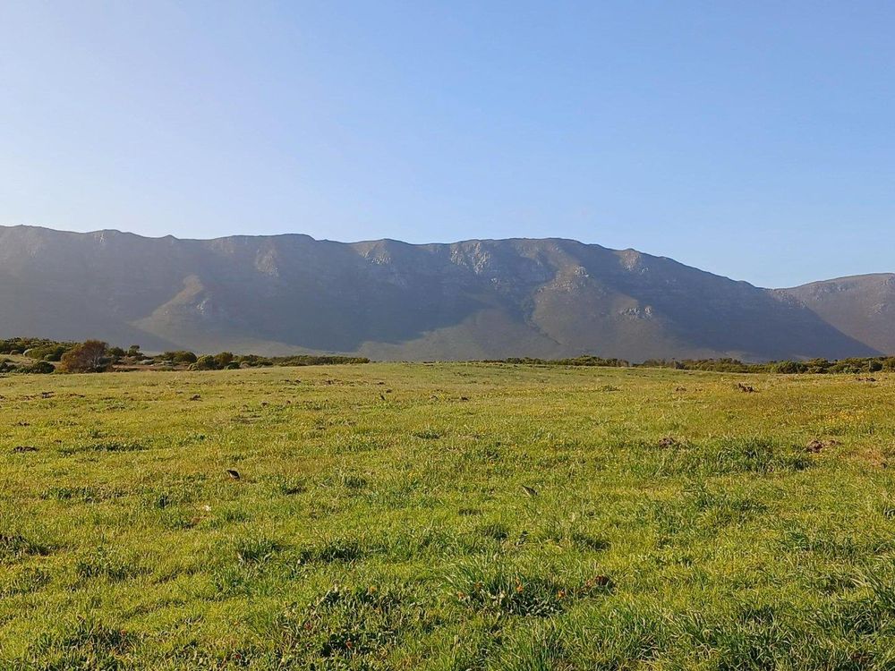 Mountain View - at the back of our Plot. We should have Living Areas on the front and at back sides of our Plot.
