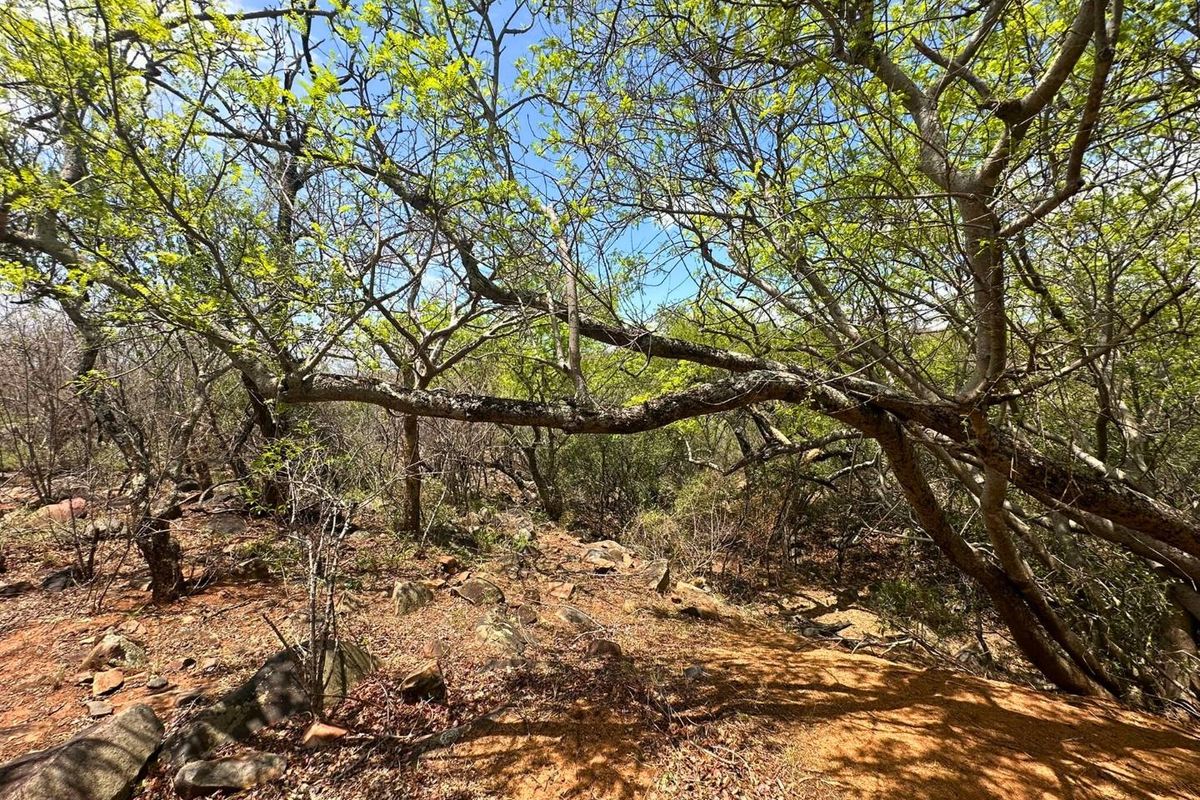 Elevated Stand with Views in Canyon Game Reserve. - Photo 3