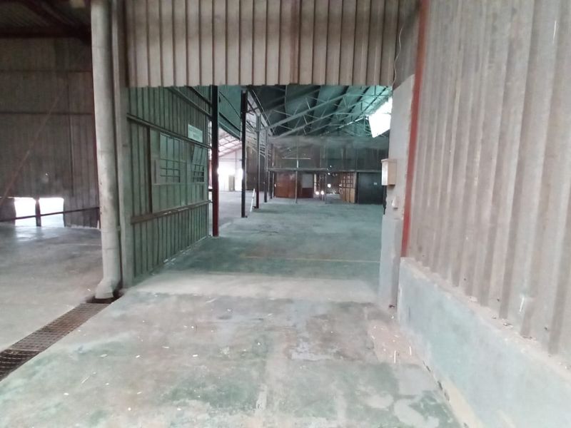 Spacious industrial utility area featuring corrugated metal walls, exposed steel roof trusses, and durable concrete flooring with integrated drainage.