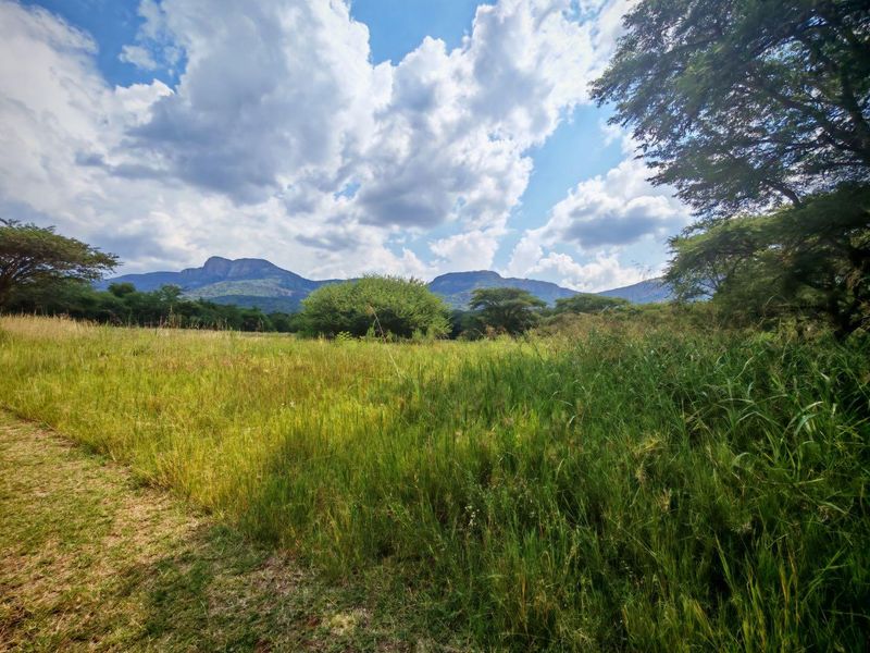 Vacant Stand in Sharalumbi Wildlife Estate - Photo 7