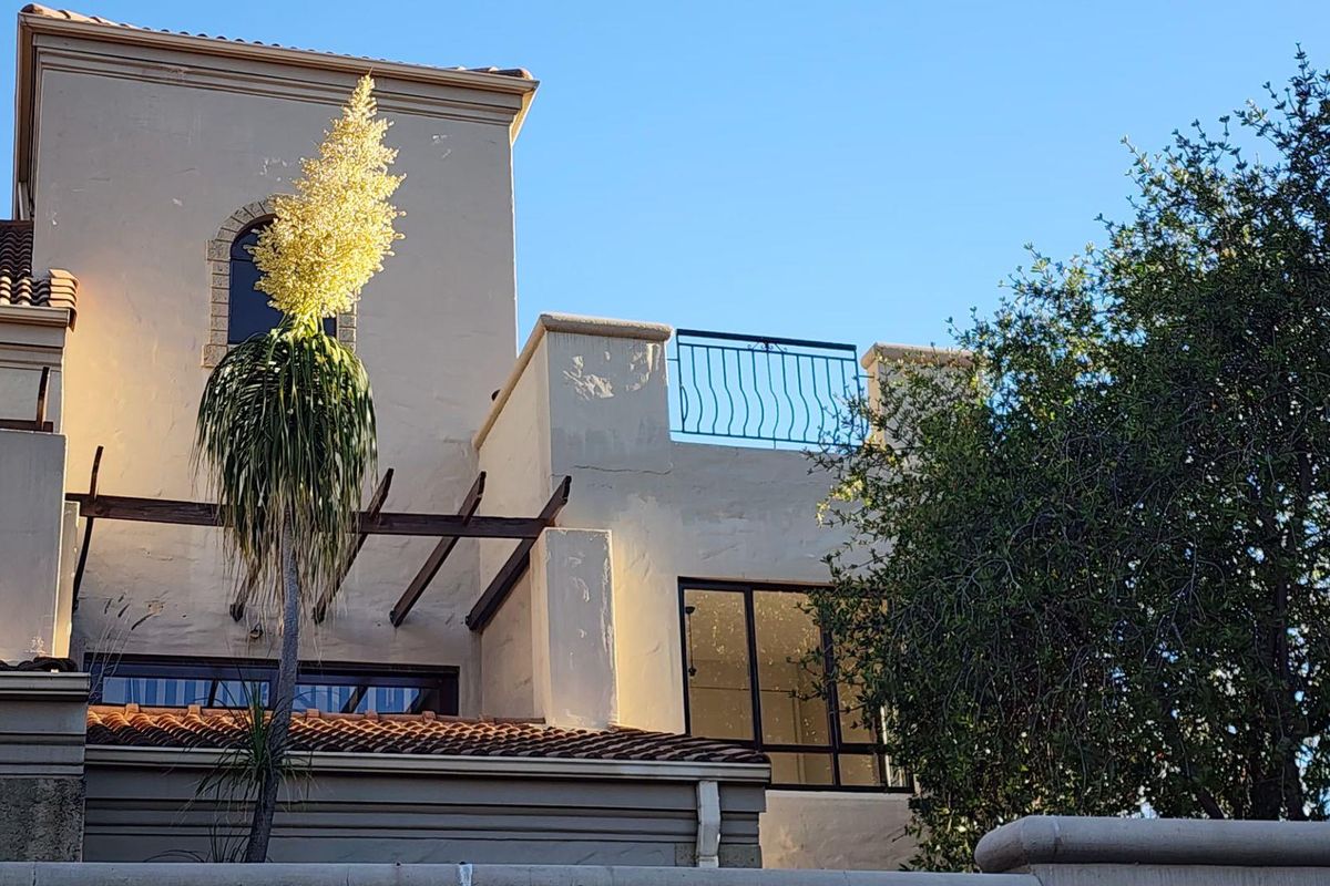 Exterior view of the apartment building featuring a balcony with metal railing, terracotta roof tiles, and stucco facade.