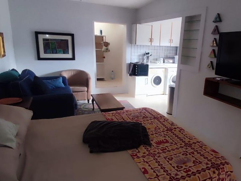 Open-plan studio cottage layout featuring a combined living and sleeping area with an adjacent compact kitchen and laundry utility space.