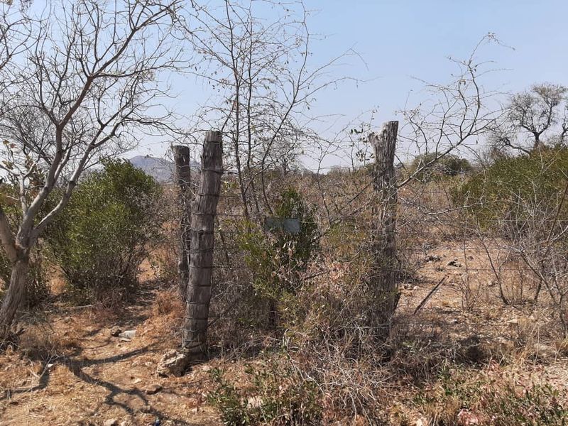 FOR SALE- LARGE AND WELL SITUATED SMALL HOLDING IN OTAVI, NAMIBIA - Photo 3