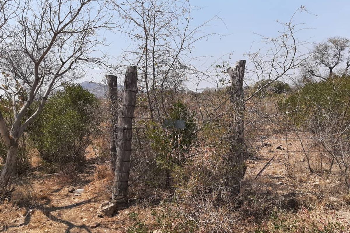 FOR SALE- LARGE AND WELL SITUATED SMALL HOLDING IN OTAVI, NAMIBIA - Photo 3