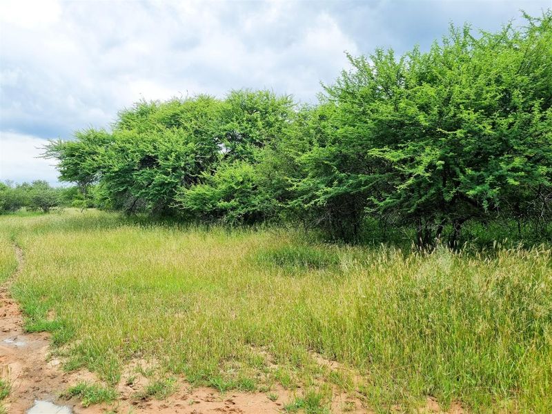 Riverfront stand - Photo 7