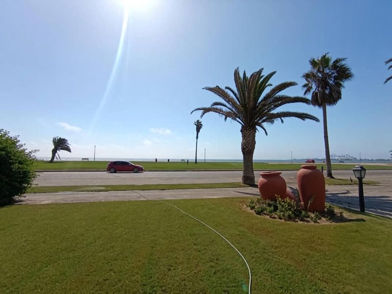 A scenic view overlooking a coastal road, featuring manicured lawns, mature palm trees, and clear ocean vistas.