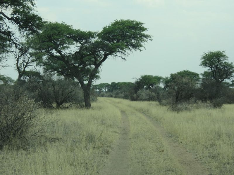 FARM FOR SALE  IN THE HOCHFELD AREA, NAMIBIA - Photo 2