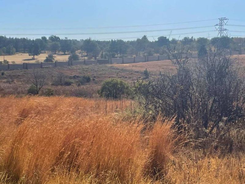 A view of the vacant residential land featuring dry grass, native vegetation, and a perimeter wall in the distance.