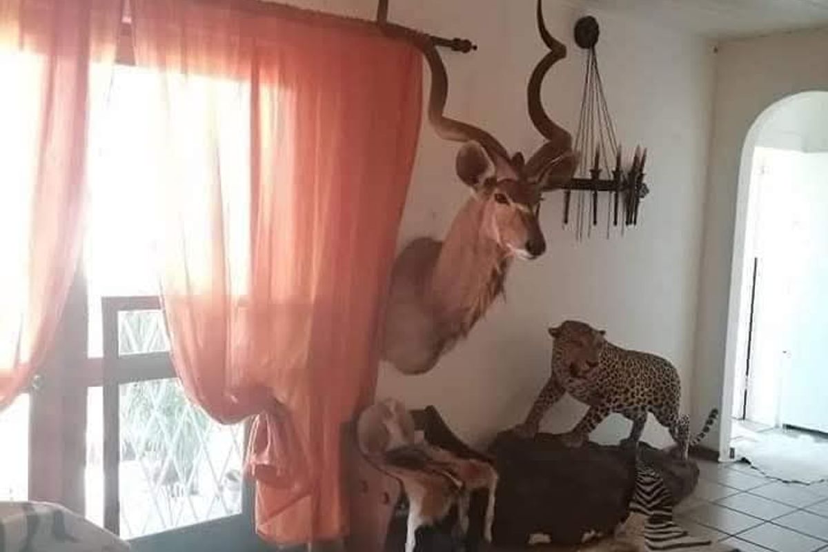 In the breathtaking Nubuamis Hills ,we have  the most scenic hills anywhere around Windhoek - Photo 2