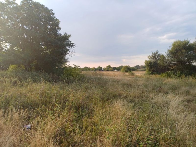SMALL HOLDING. LANGENHOVENPARK.BEAUTIFUL TREES. EXCELLENT BUY. - Photo 3