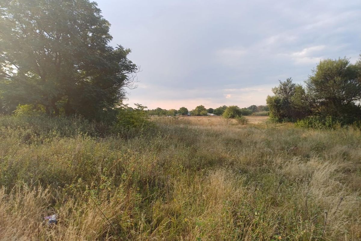 SMALL HOLDING. LANGENHOVENPARK.BEAUTIFUL TREES. EXCELLENT BUY. - Photo 3