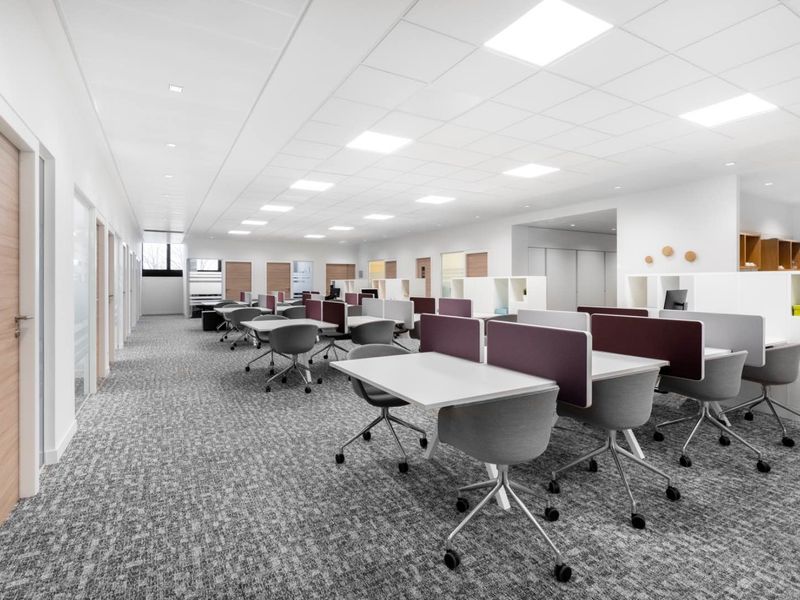 Modern open-plan office space featuring a suspended ceiling with recessed LED lighting, high-quality carpet flooring, and integrated timber-finish doors.