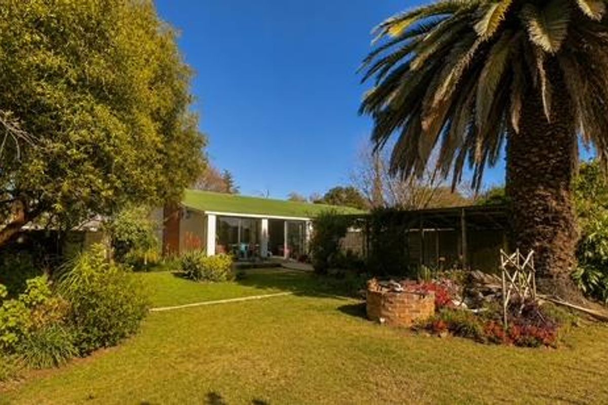 A view of the rear garden featuring a large palm tree, established landscaping, and a covered patio area attached to the main house.