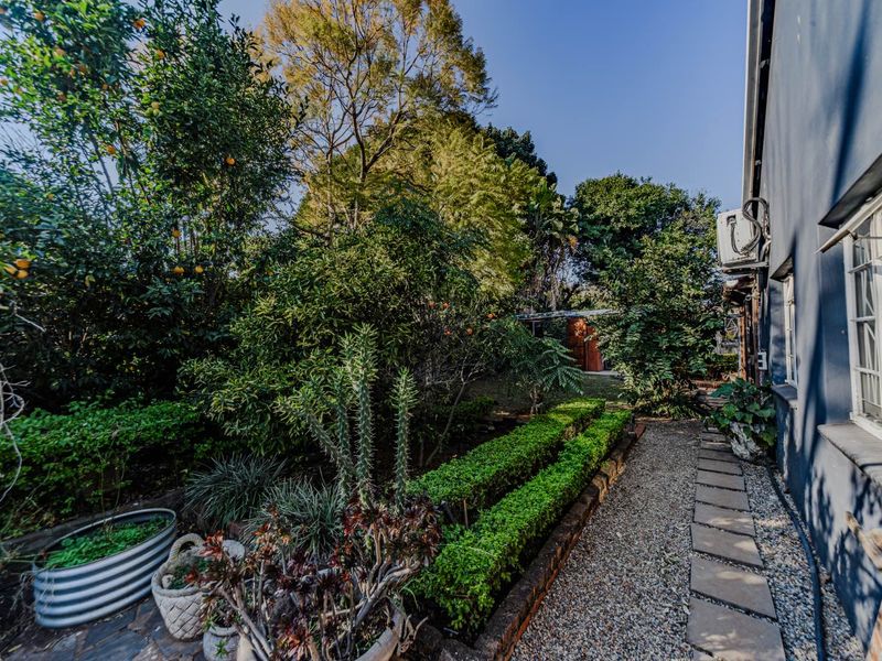 A well-maintained side garden featuring a gravel pathway with stone pavers, manicured hedges, and mature fruit trees alongside the exterior wall.