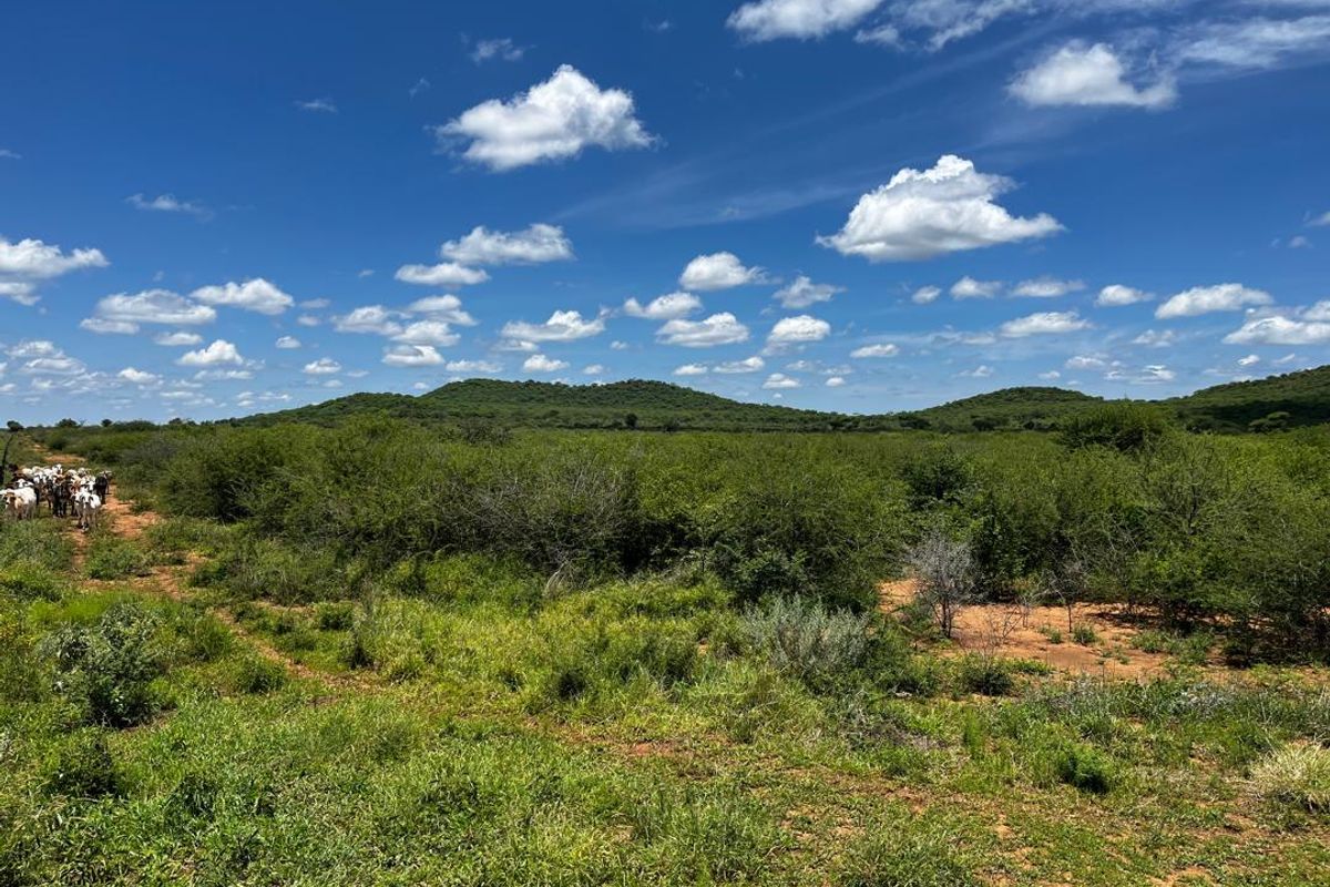260 hectare agricultural plot, ideal for Centre pivot, feedlot or crop production - Photo 2