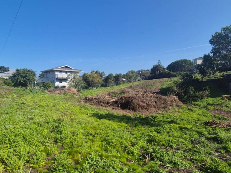 A view of a sloped residential vacant plot with cleared vegetation and surrounding established neighborhood homes.