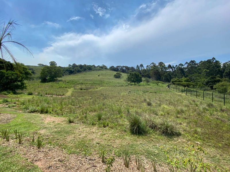 A wide-angle view of an expansive, undeveloped grassy landscape with natural vegetation and perimeter fencing under a clear blue sky.
