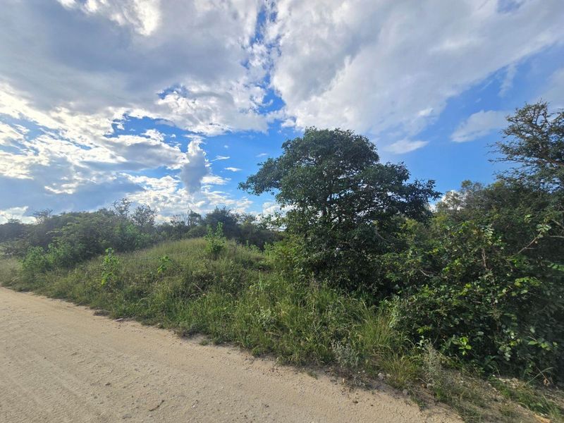 Rare & Private Riversdale Stand in Moditlo Wildlife Estate - Photo 8