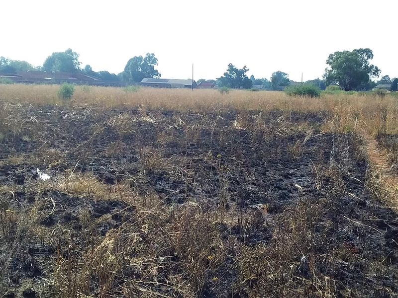 A vacant residential plot featuring dry, scorched vegetation and overgrown grass, suitable for future development.