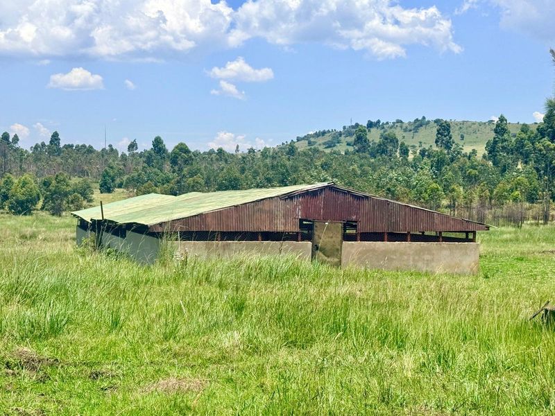 Smallholding for sale in Vryheid area - Photo 9
