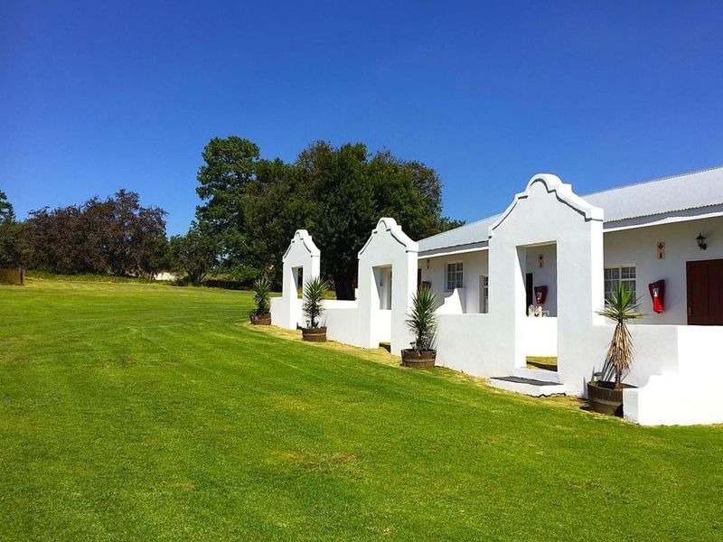 Country Living at its best - Photo 5