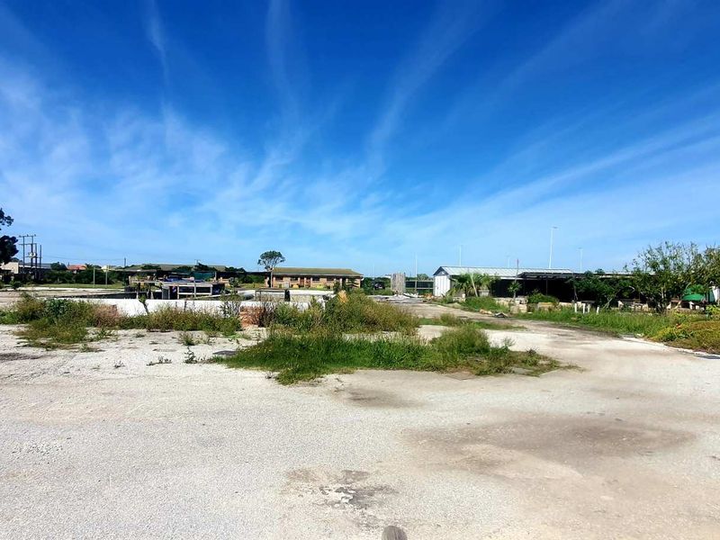 Potential Development Land for Sale in Colchester - Photo 10