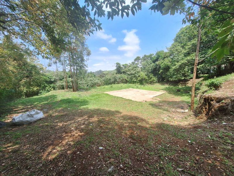 A Rare Sanctuary of Space, Security & Scenic Beauty - Photo 10