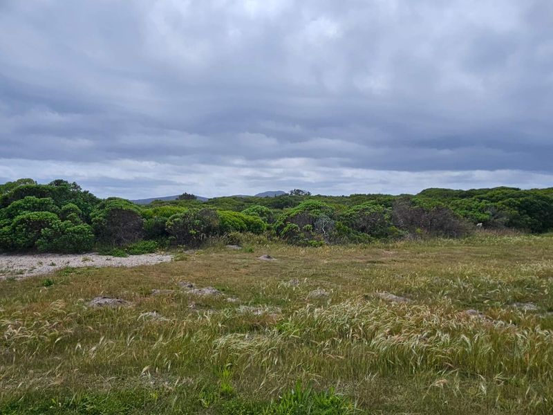 Exceptional Vacant Land for Sale in Pearly Beach - Photo 2