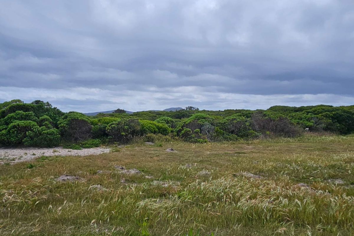 Exceptional Vacant Land for Sale in Pearly Beach - Photo 2