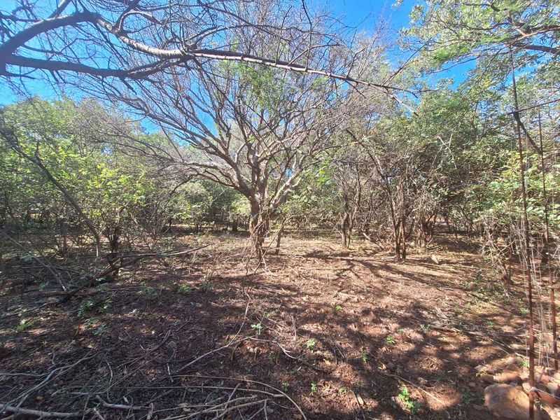 Secure Your Slice of Leeupoort's Natural Beauty Today - Photo 9