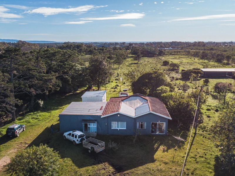1.5 ha Smallholding – Prime Investment Opportunity on the Outskirts of Port Elizabeth - Photo 2
